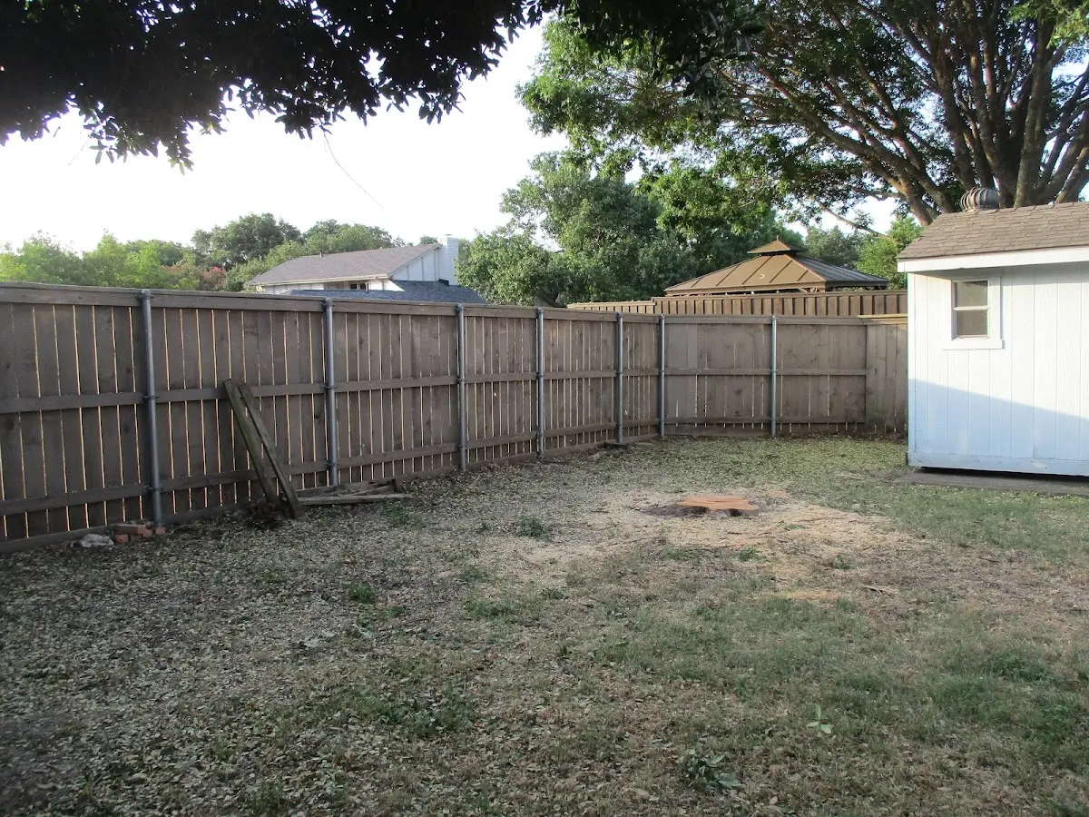 Cleared yard after professional tree removal in Gypsum